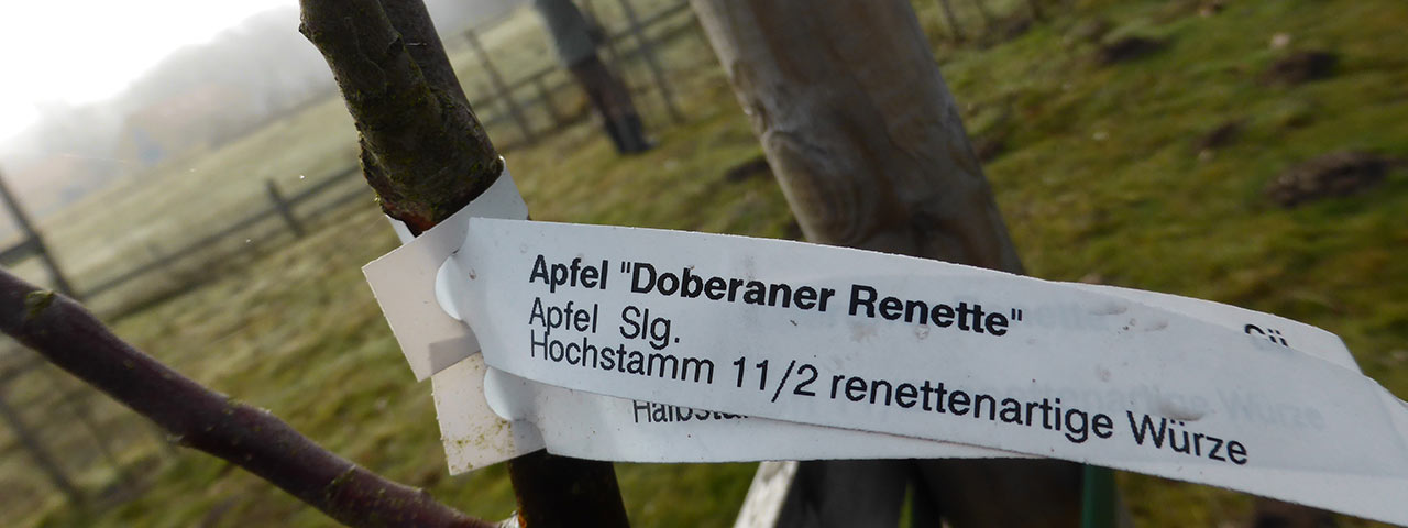 Historische Sorten